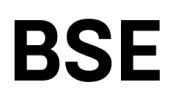 Логотип BSE